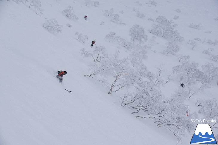 児玉毅×山木匡浩 b.c.map POWDER HUNTING in NISEKO 2018！